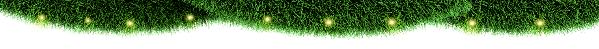 Decoração Natal Topo